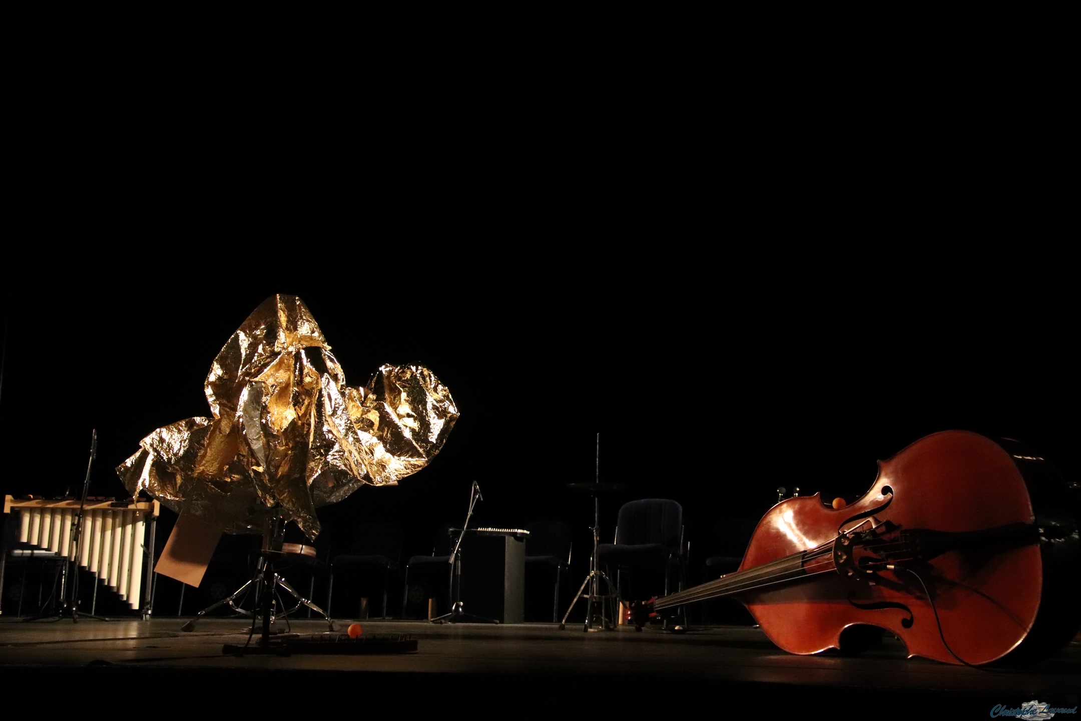 Le tableau d'introduction avec un violoncelle et une figure de papier doré